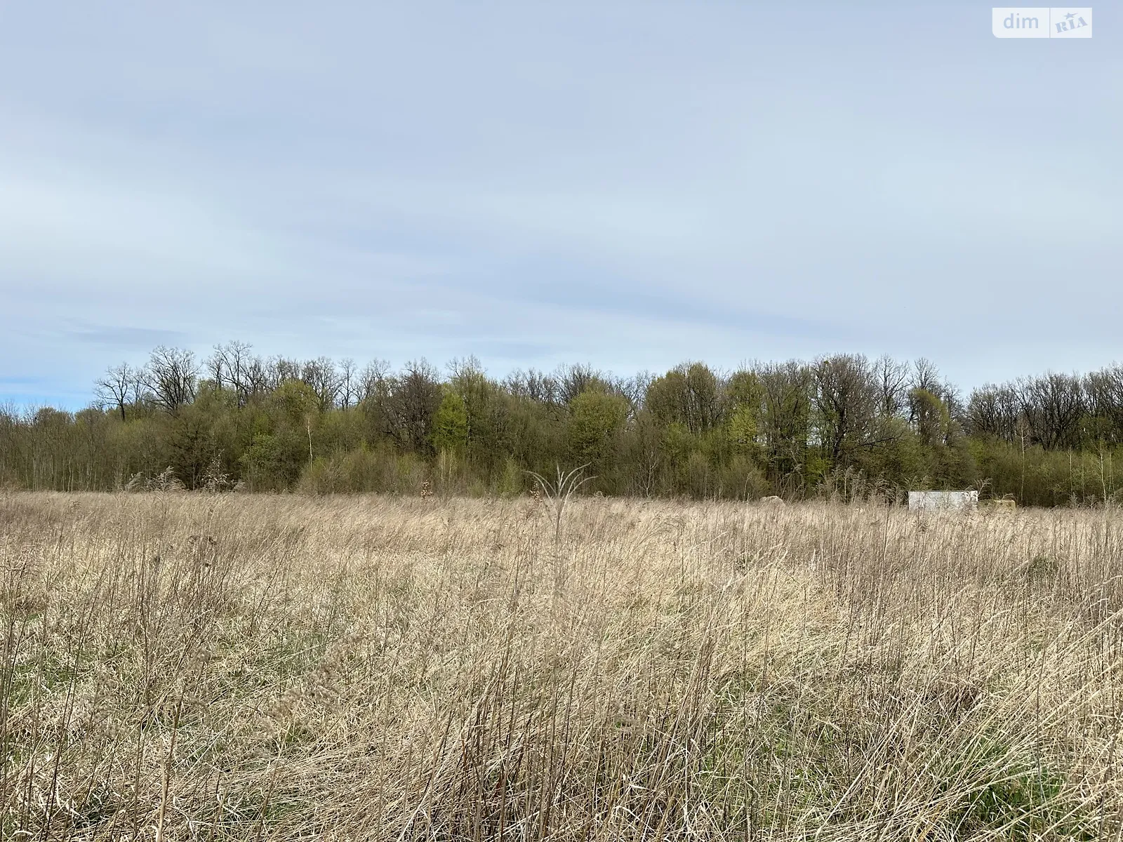 Продается земельный участок 0.2395 соток в Винницкой области - фото 3