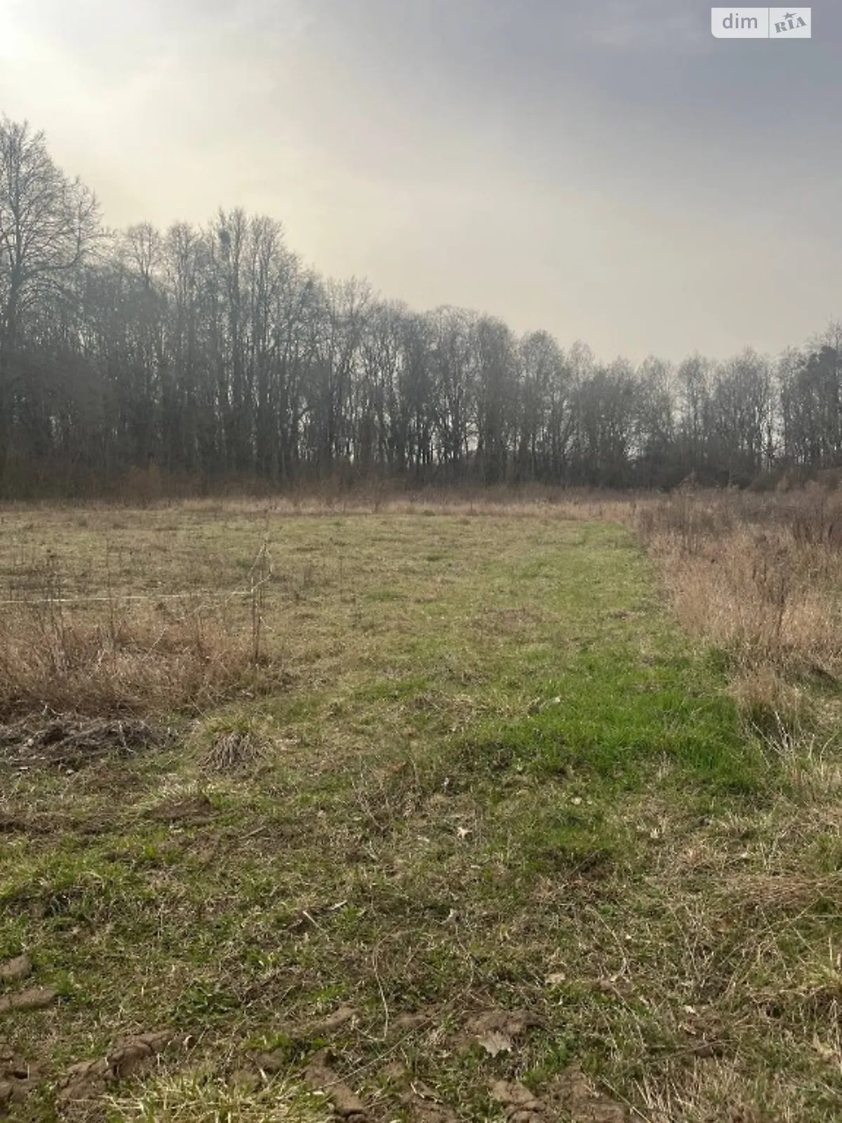 Продается земельный участок 27 соток в Винницкой области - фото 2