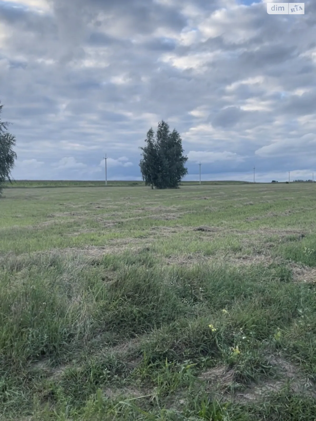 Продается земельный участок 179 соток в Киевской области - фото 3