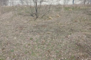 Сниму земельный участок в Южноукраинске долгосрочно