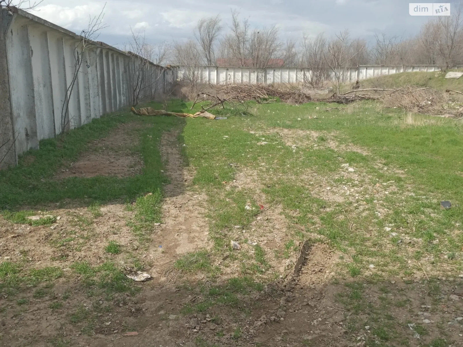 Сдается в аренду земельный участок 100 соток в Николаевской области - фото 3