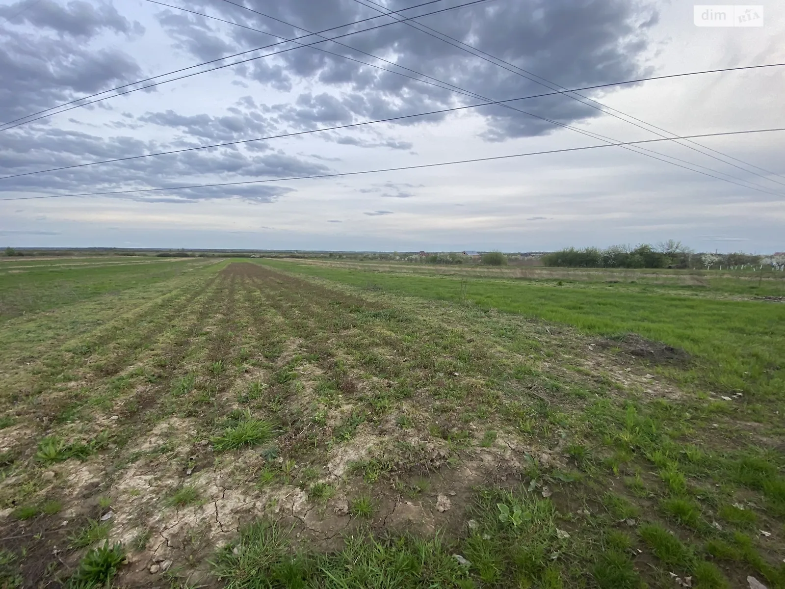 Продается земельный участок 0.2022 соток в Закарпатской области - фото 3