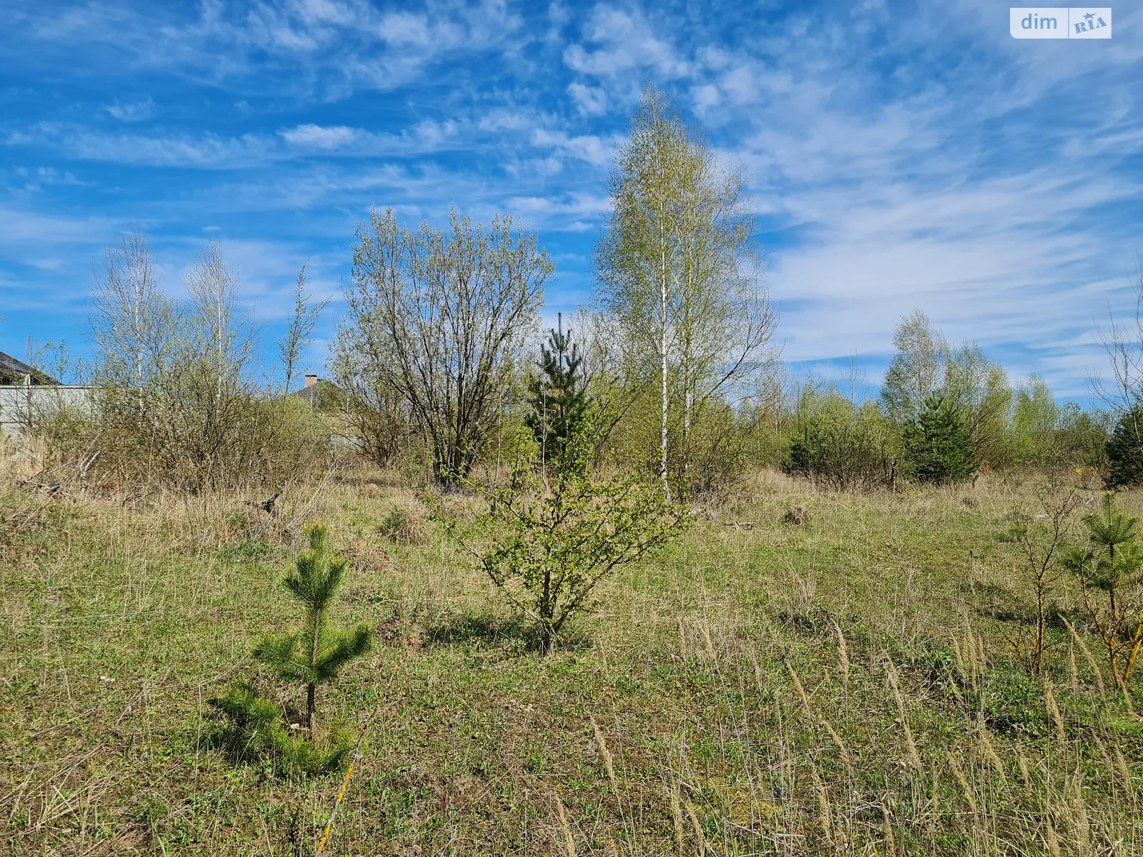 Продається земельна ділянка 20 соток у Хмельницькій області - фото 4