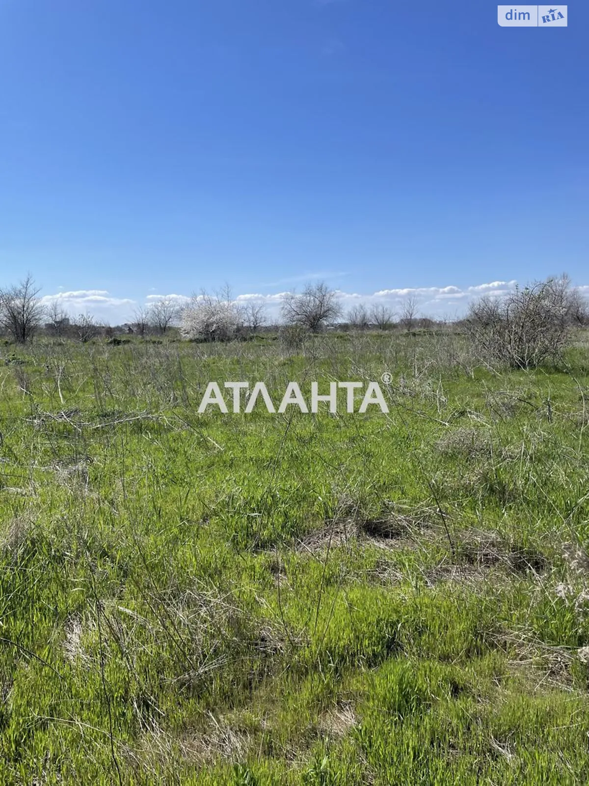 Продается земельный участок 8.8 соток в Одесской области - фото 4