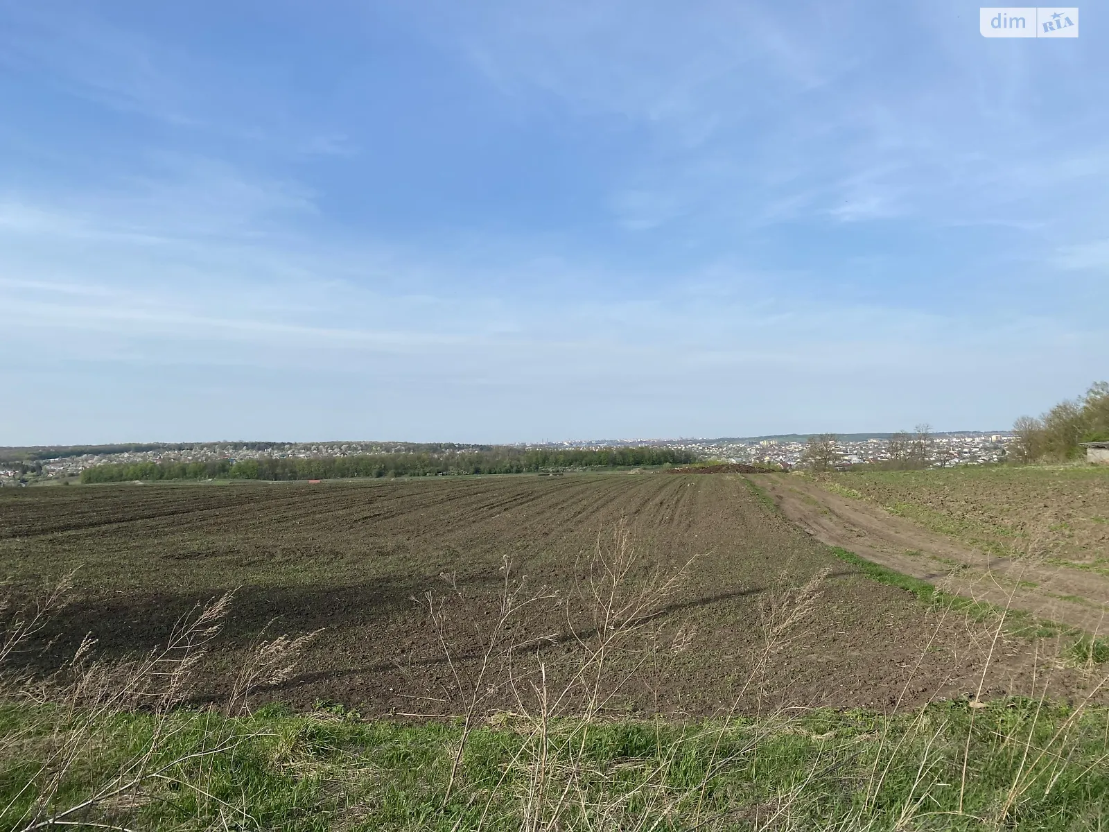 Продается земельный участок 25 соток в Тернопольской области - фото 3