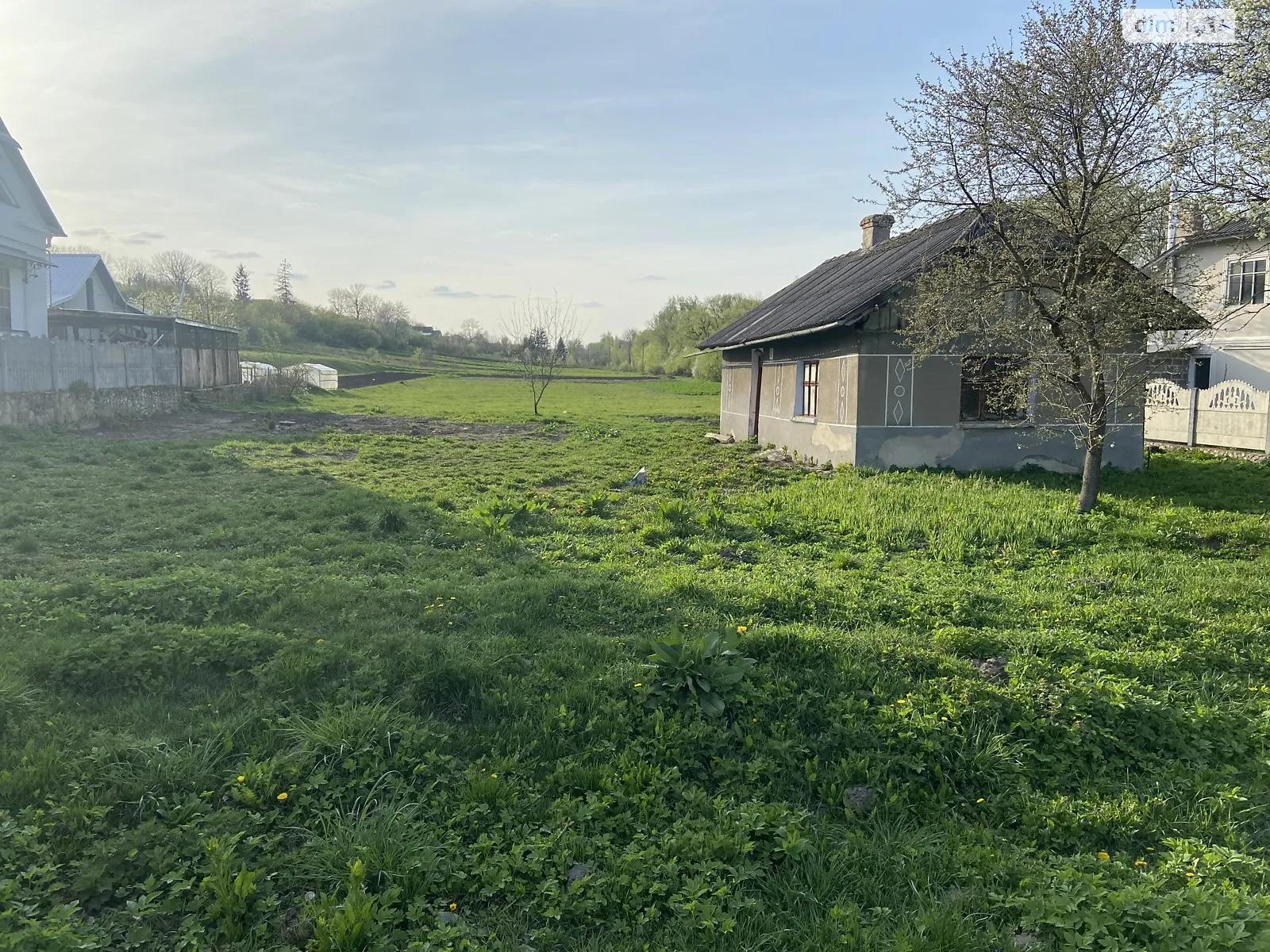 Продается земельный участок 36 соток в Тернопольской области - фото 4