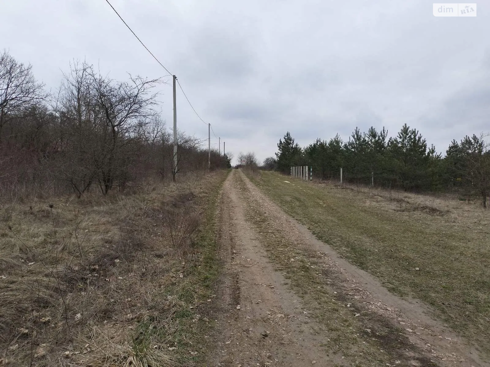 Продается земельный участок 20 соток в Ровенской области - фото 2