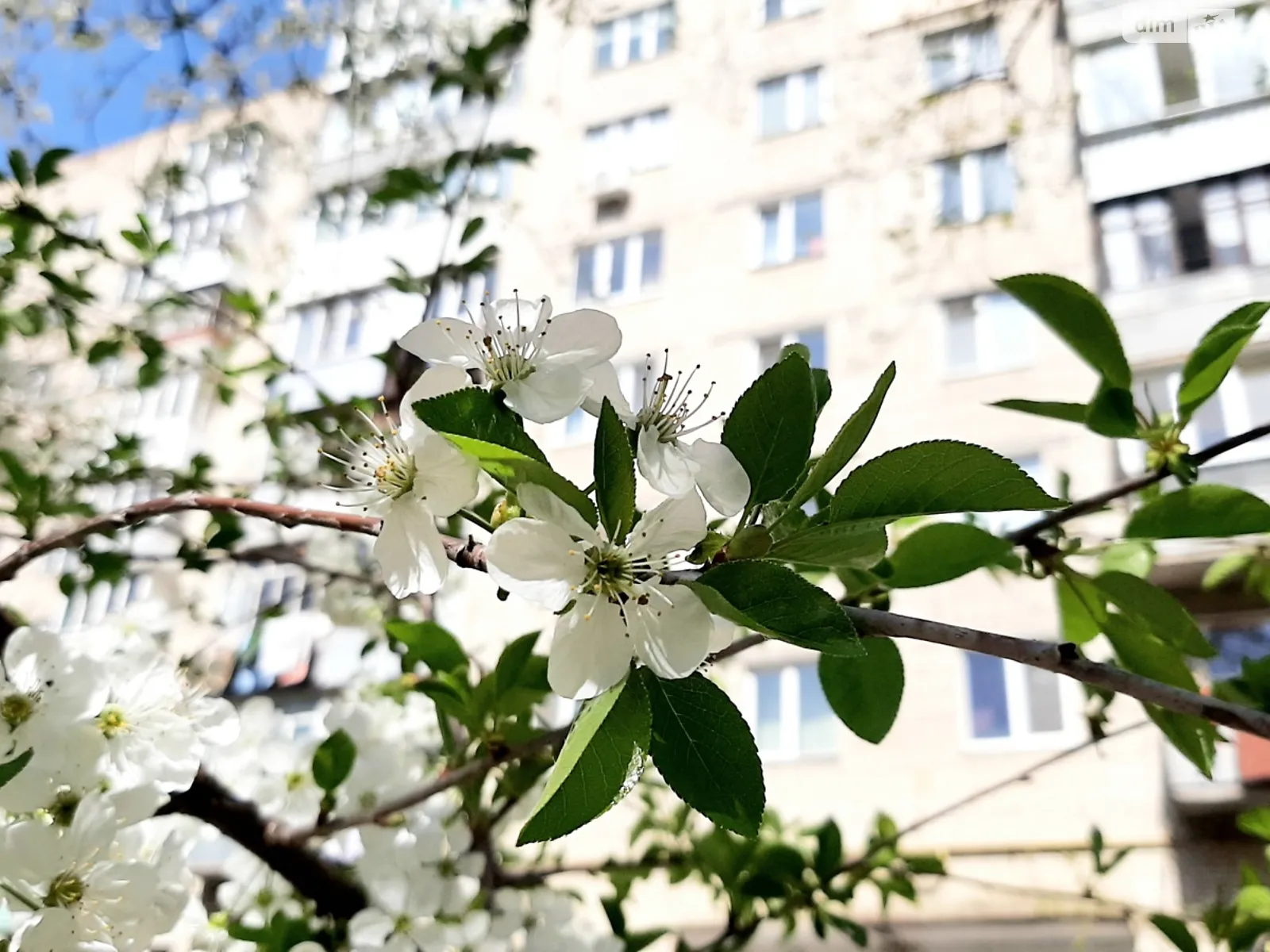 Продається 4-кімнатна квартира 75 кв. м у Вінниці, вул. Келецька