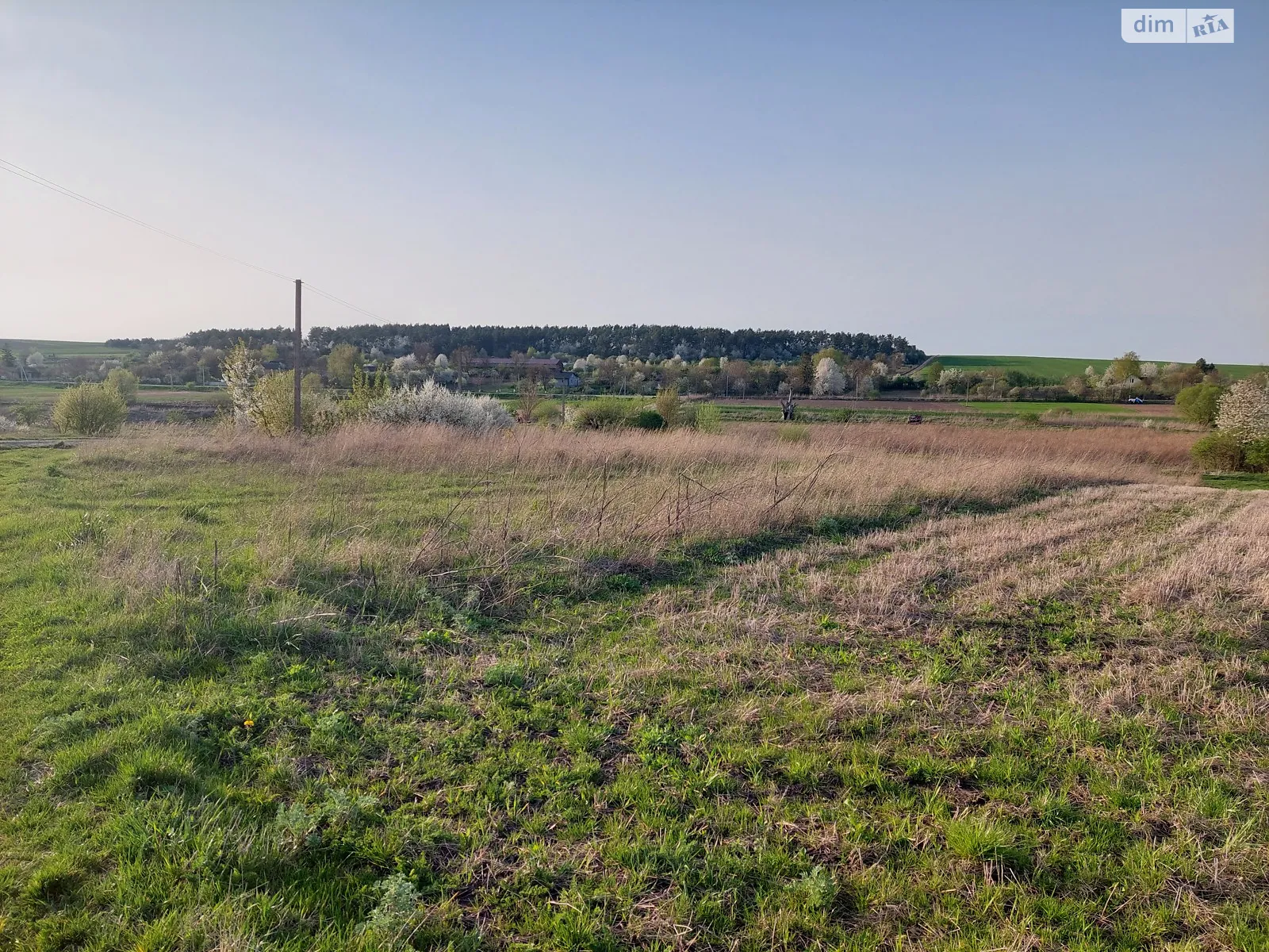 Продается земельный участок 50 соток в Ровенской области - фото 3
