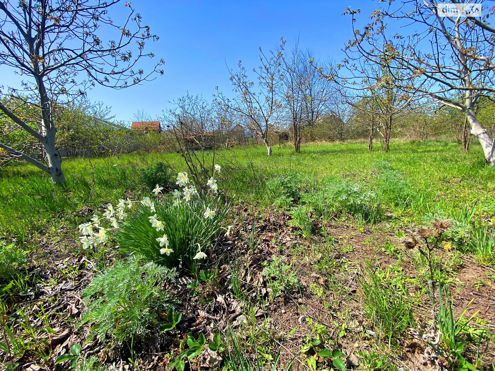 Продається земельна ділянка 6 соток у Одеській області, цена: 15000 $ - фото 1