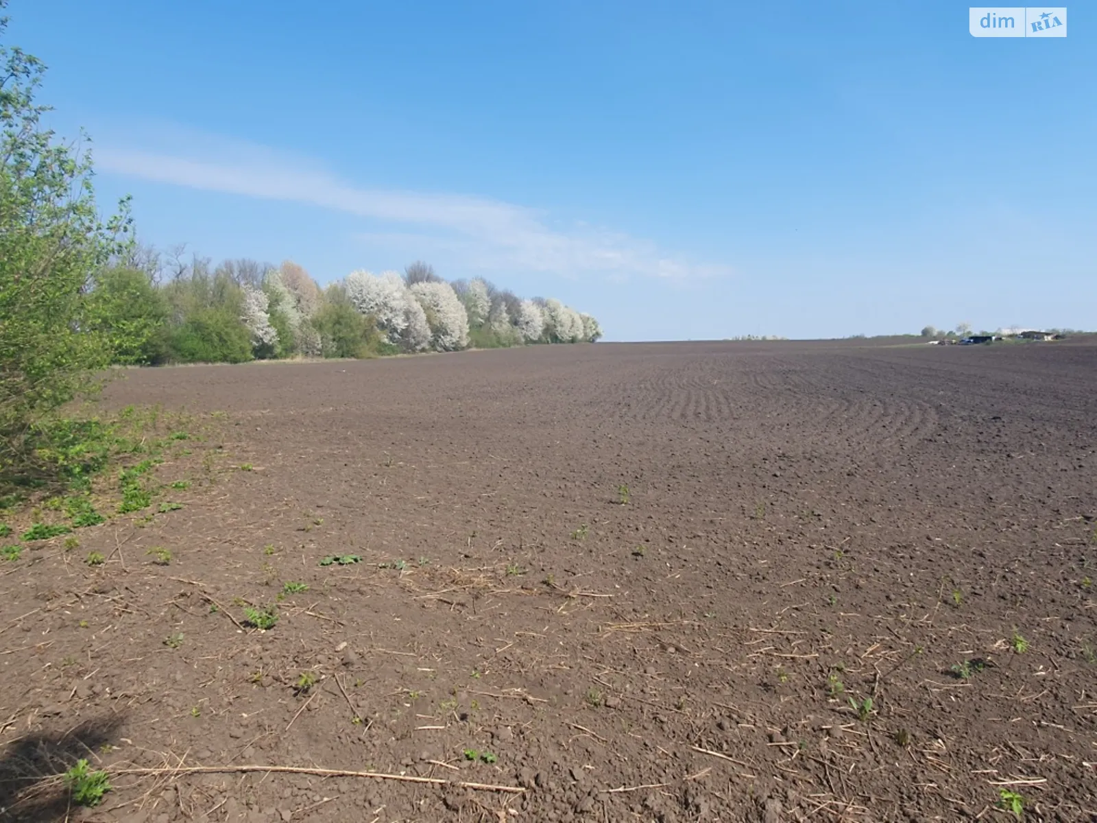Продается земельный участок 138 соток в Винницкой области - фото 3