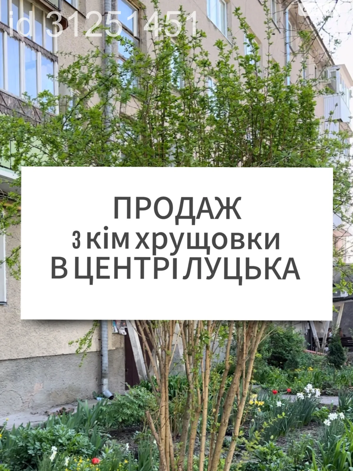 3-кімнатна квартира 61.8 кв. м у Луцьку, просп. Волі