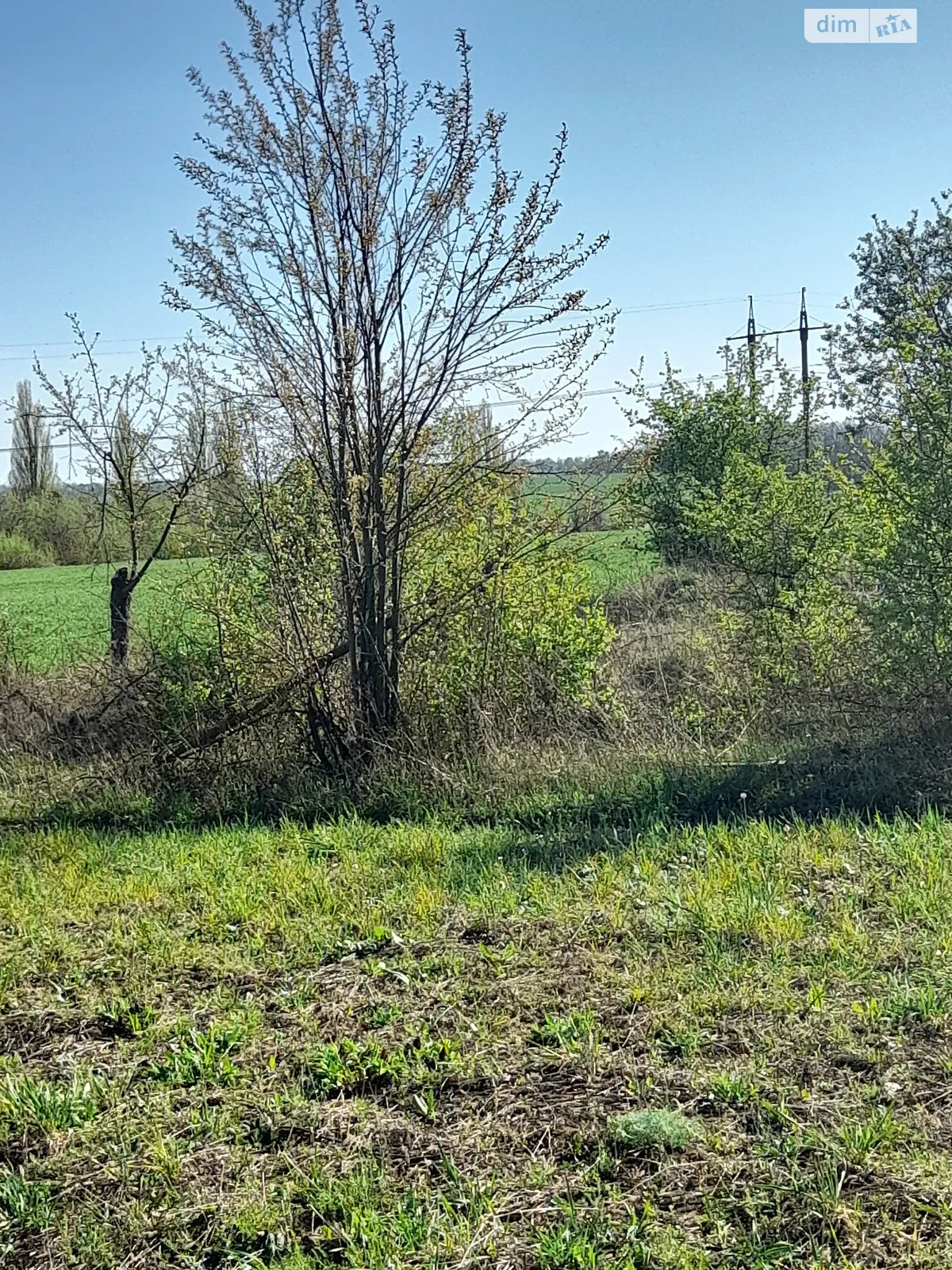 Продается земельный участок 2 соток в Винницкой области - фото 3