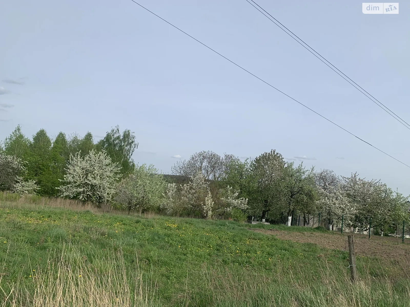 Продается земельный участок 11.5 соток в Хмельницкой области - фото 2