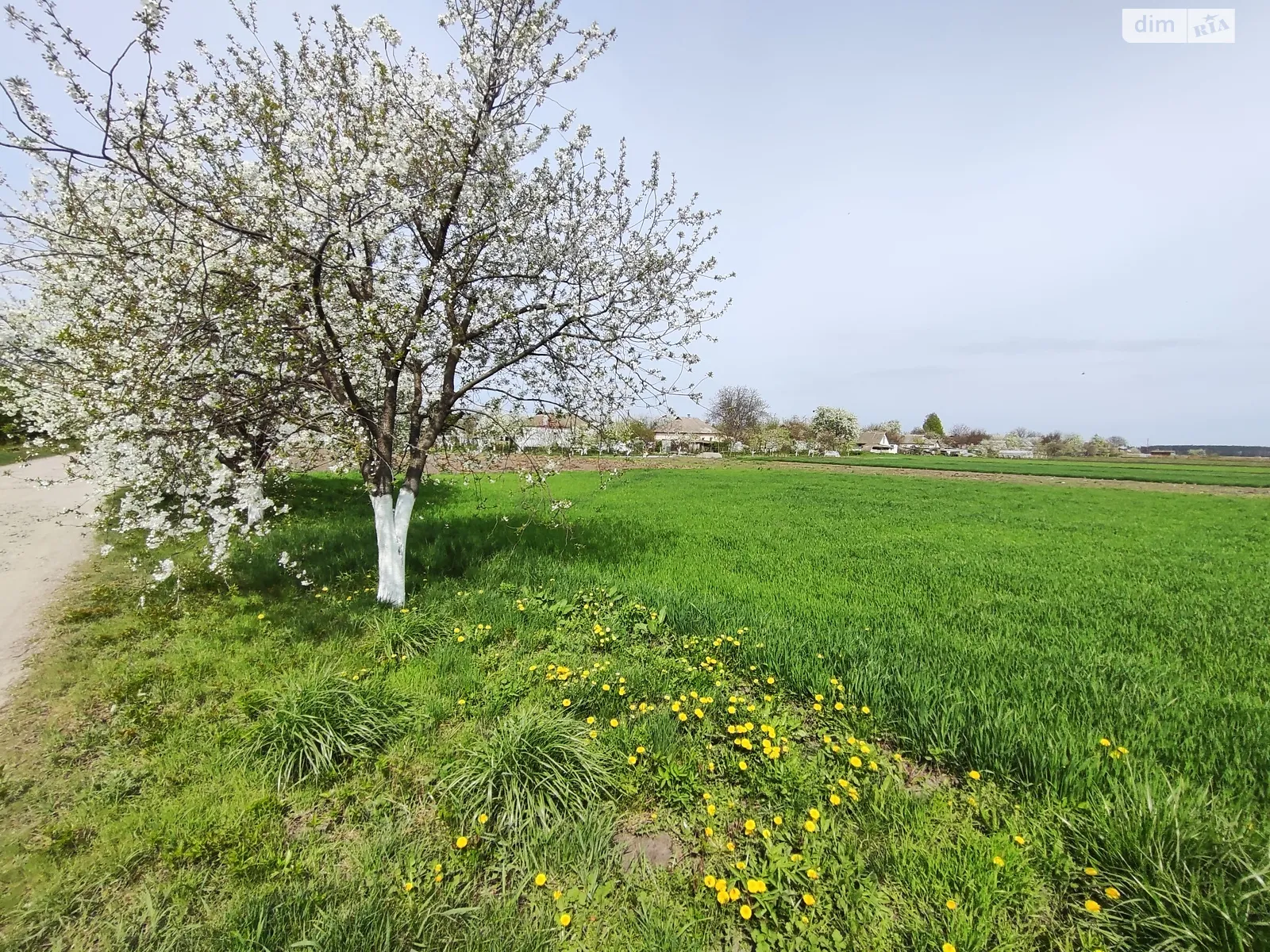 ул. Гарфункина Головуров, цена: 6500 $ - фото 1