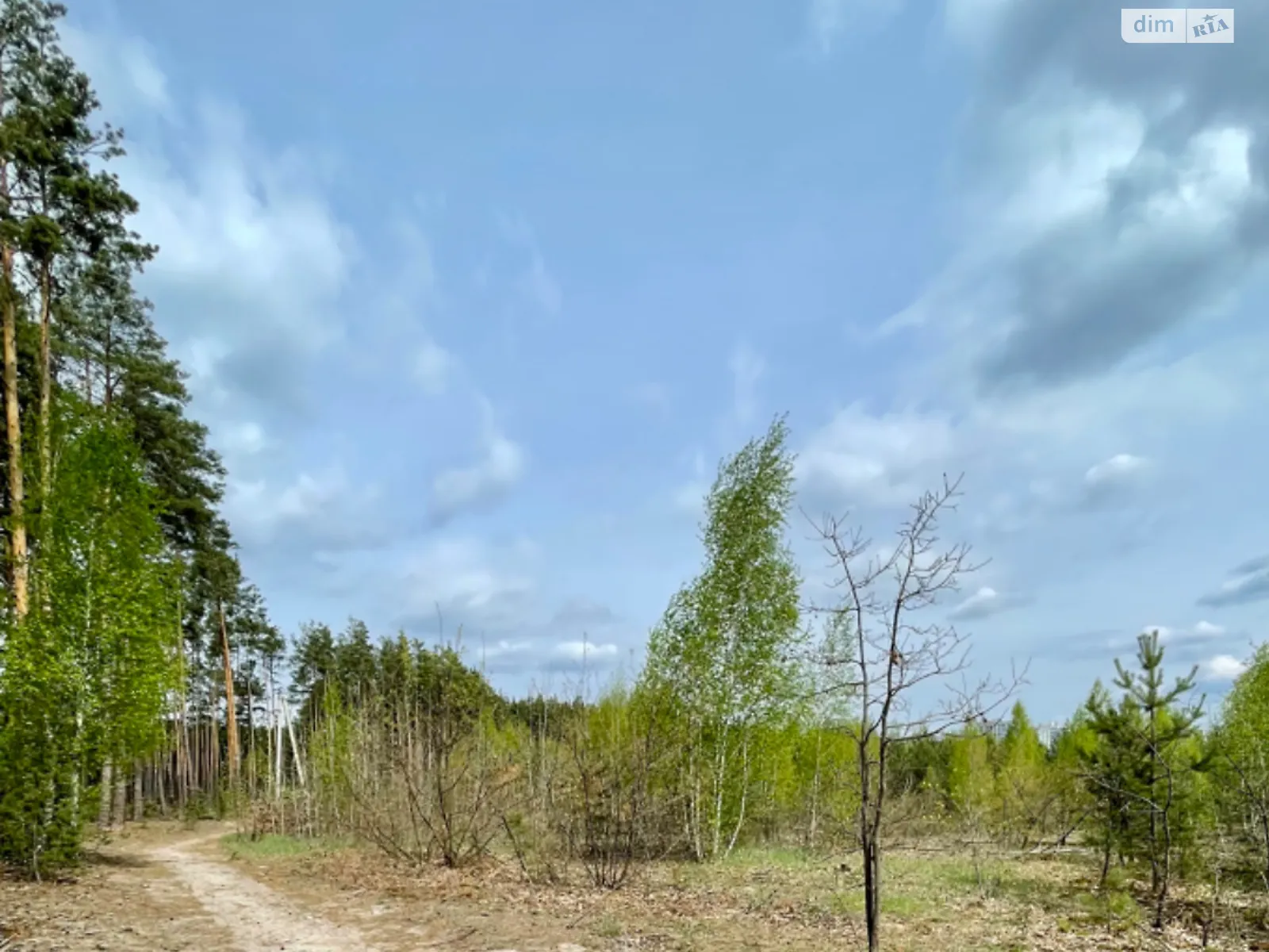 Продается земельный участок 12 соток в Киевской области, цена: 65000 $ - фото 1