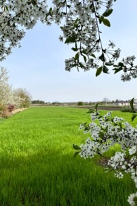 Продаж будинку, Вінницька, Гуменне