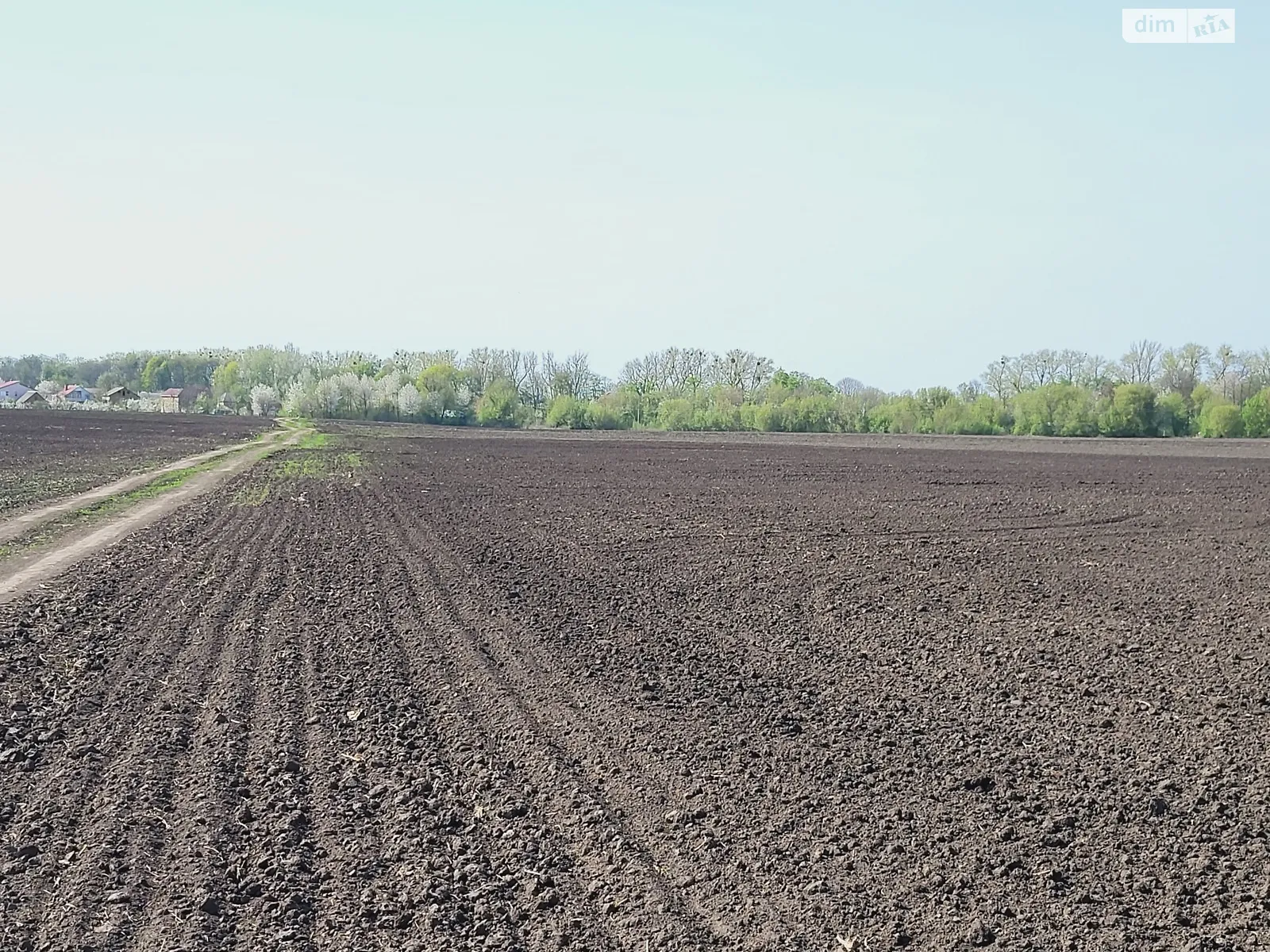 Продается земельный участок 1.4 соток в Винницкой области - фото 4
