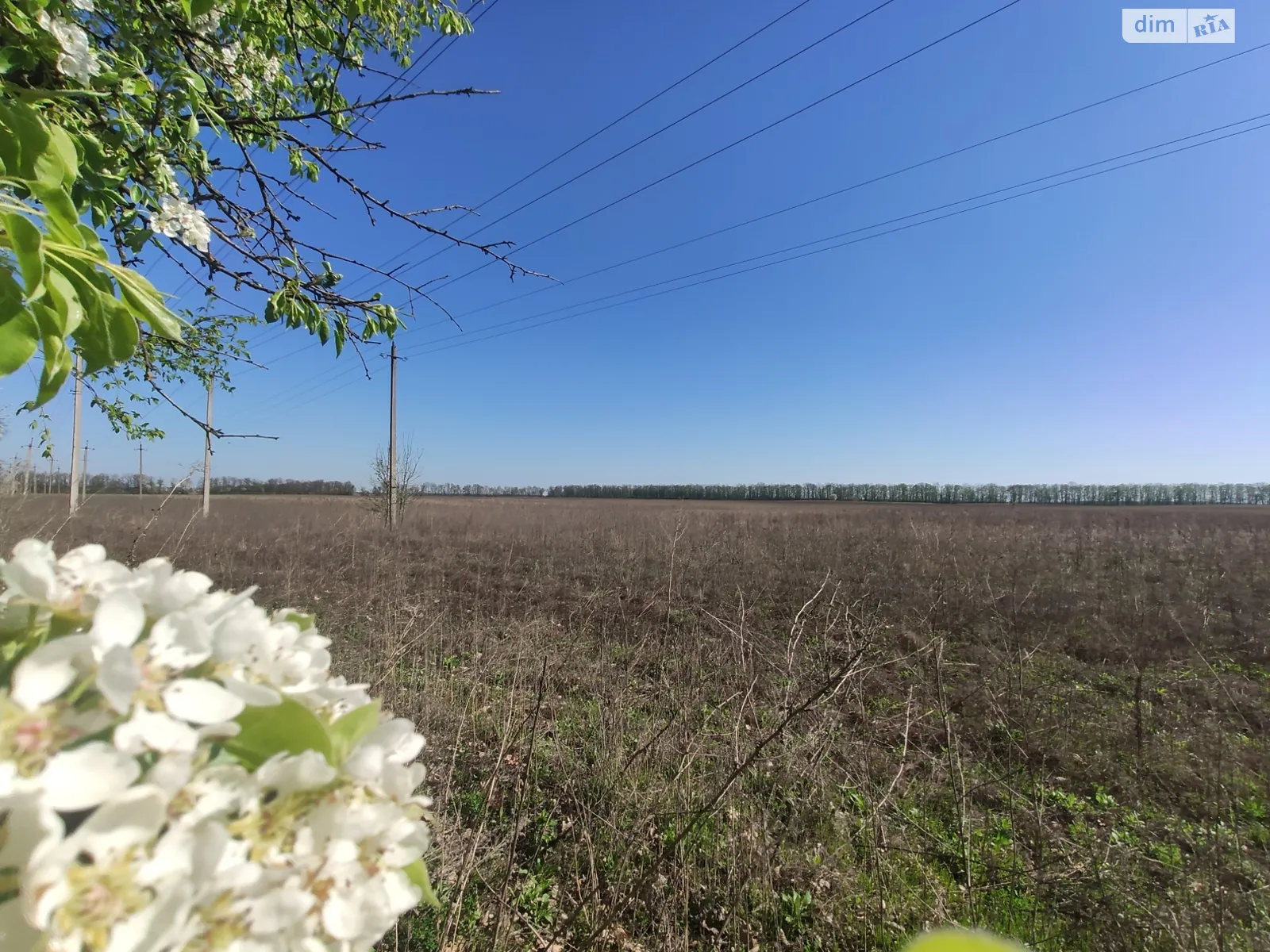 Продается земельный участок 36 соток в Винницкой области - фото 3