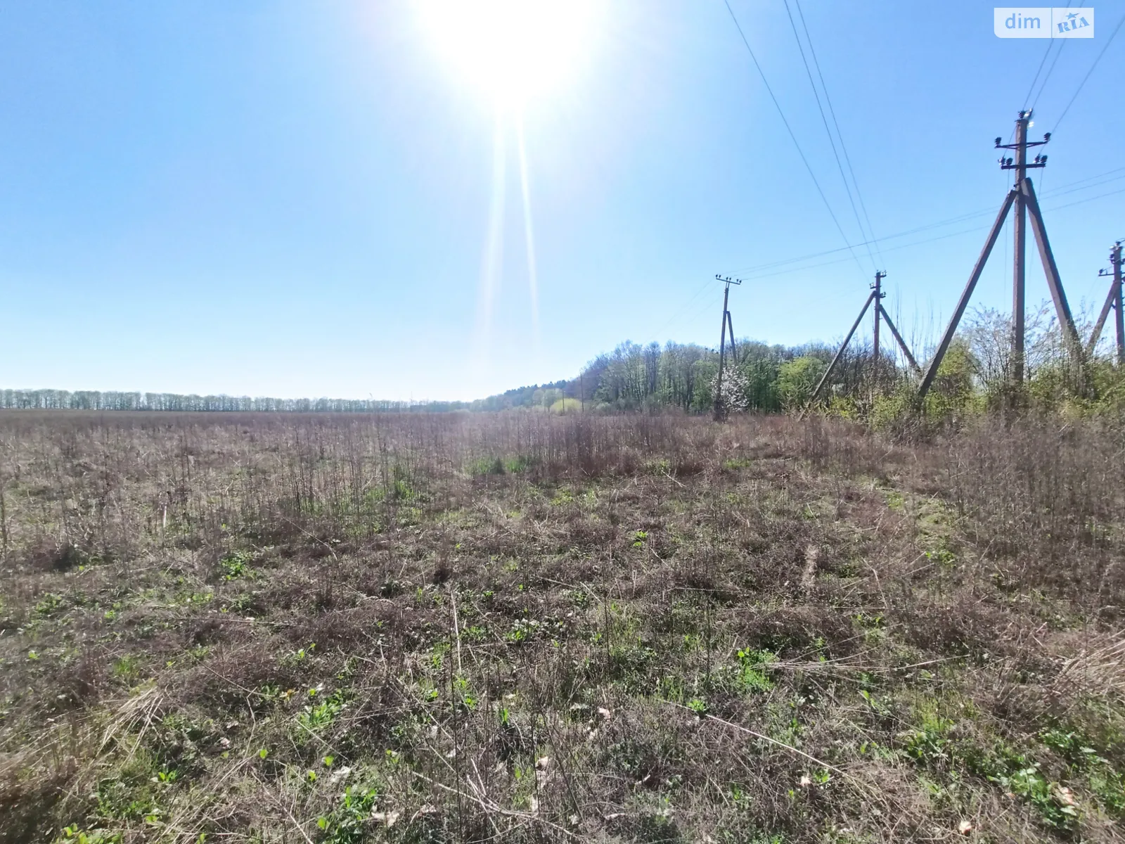 Продается земельный участок 36 соток в Винницкой области - фото 4