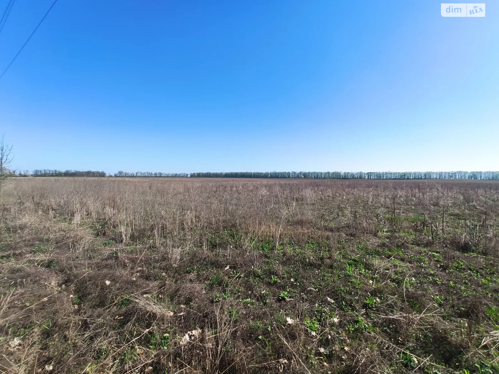 Продается земельный участок 36 соток в Винницкой области - фото 3