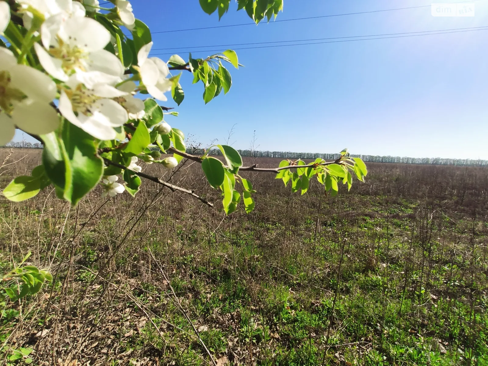 Продається земельна ділянка 36 соток у Вінницькій області, цена: 48600 $