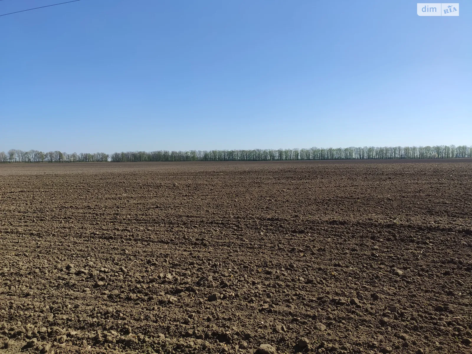 Продается земельный участок 36 соток в Винницкой области - фото 2