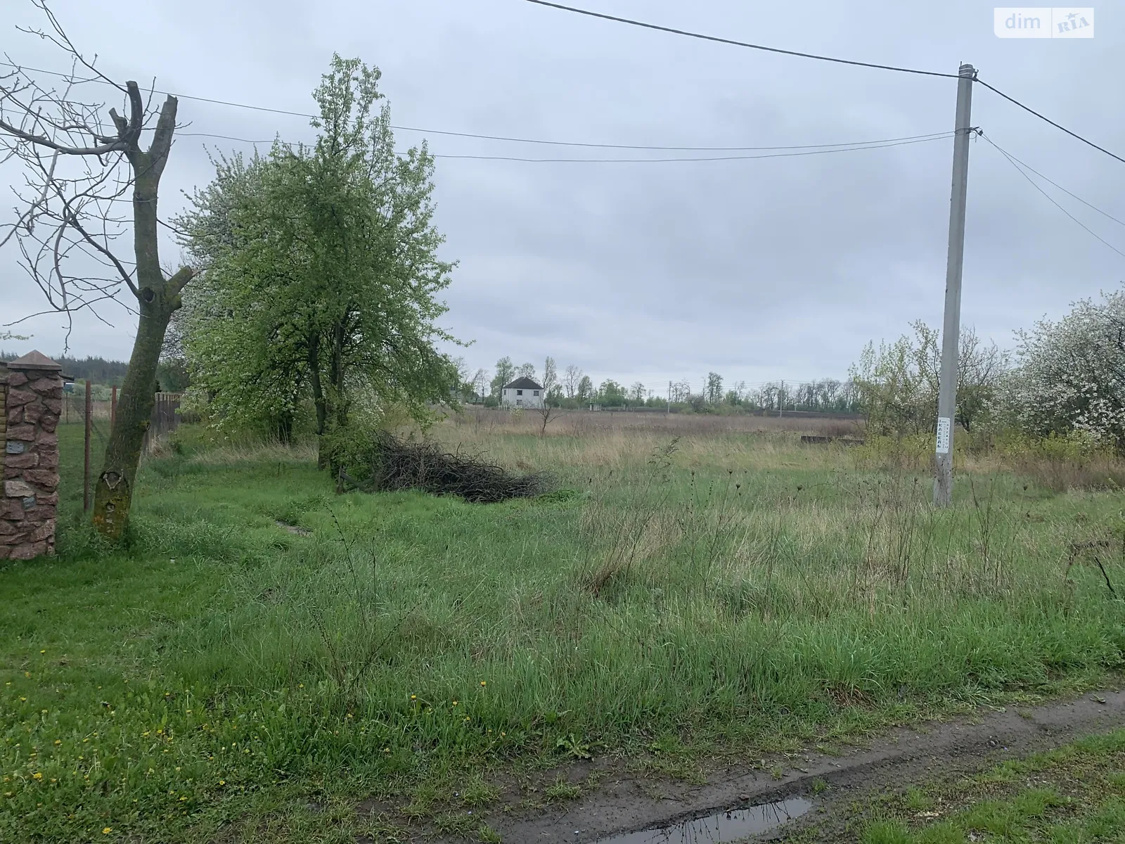 Продается земельный участок 12.5 соток в Киевской области, цена: 7500 $