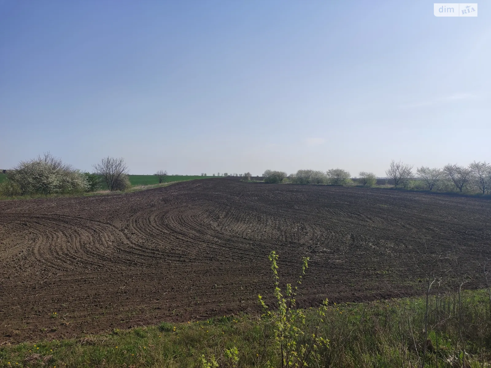 Продается земельный участок 1.35 соток в Винницкой области - фото 2