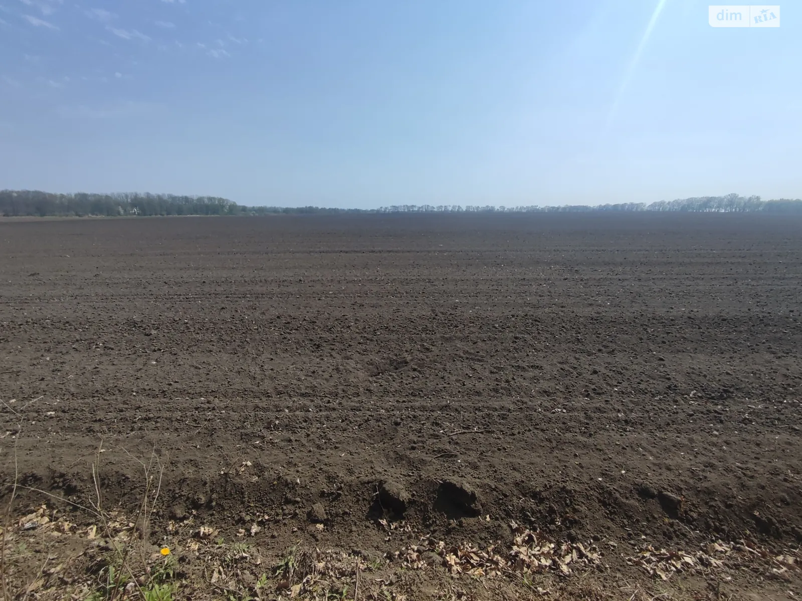 Продается земельный участок 1.36 соток в Винницкой области - фото 3