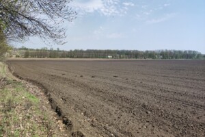 Куплю земельный участок в Шаргороде без посредников