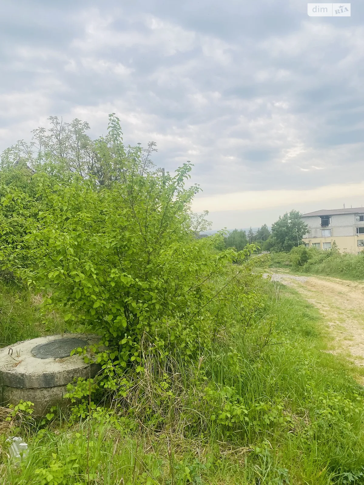 Продається земельна ділянка 20 соток у Закарпатській області - фото 3