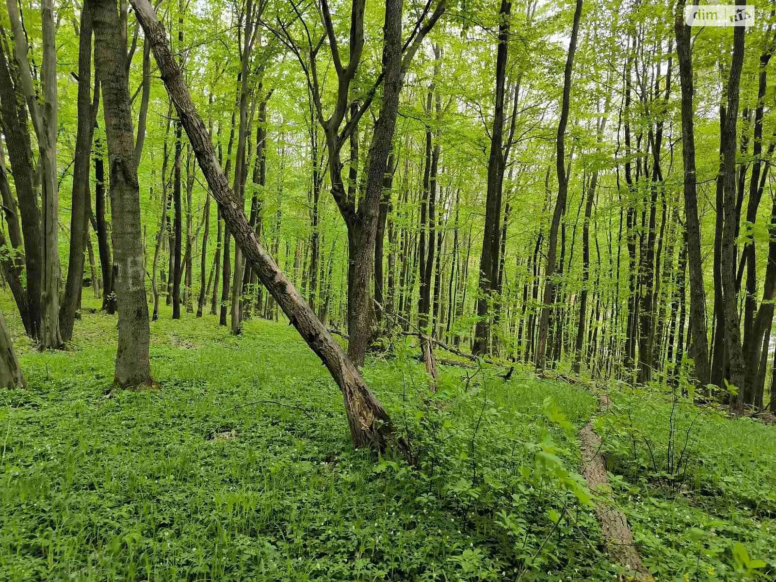 Продається земельна ділянка 7 соток у Львівській області, цена: 35000 $ - фото 1