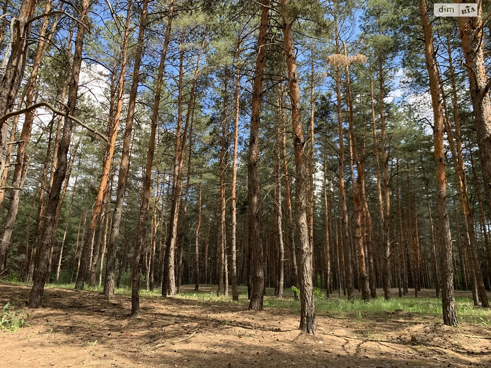 Продается земельный участок 164 соток в Днепропетровской области, цена: 82000 $