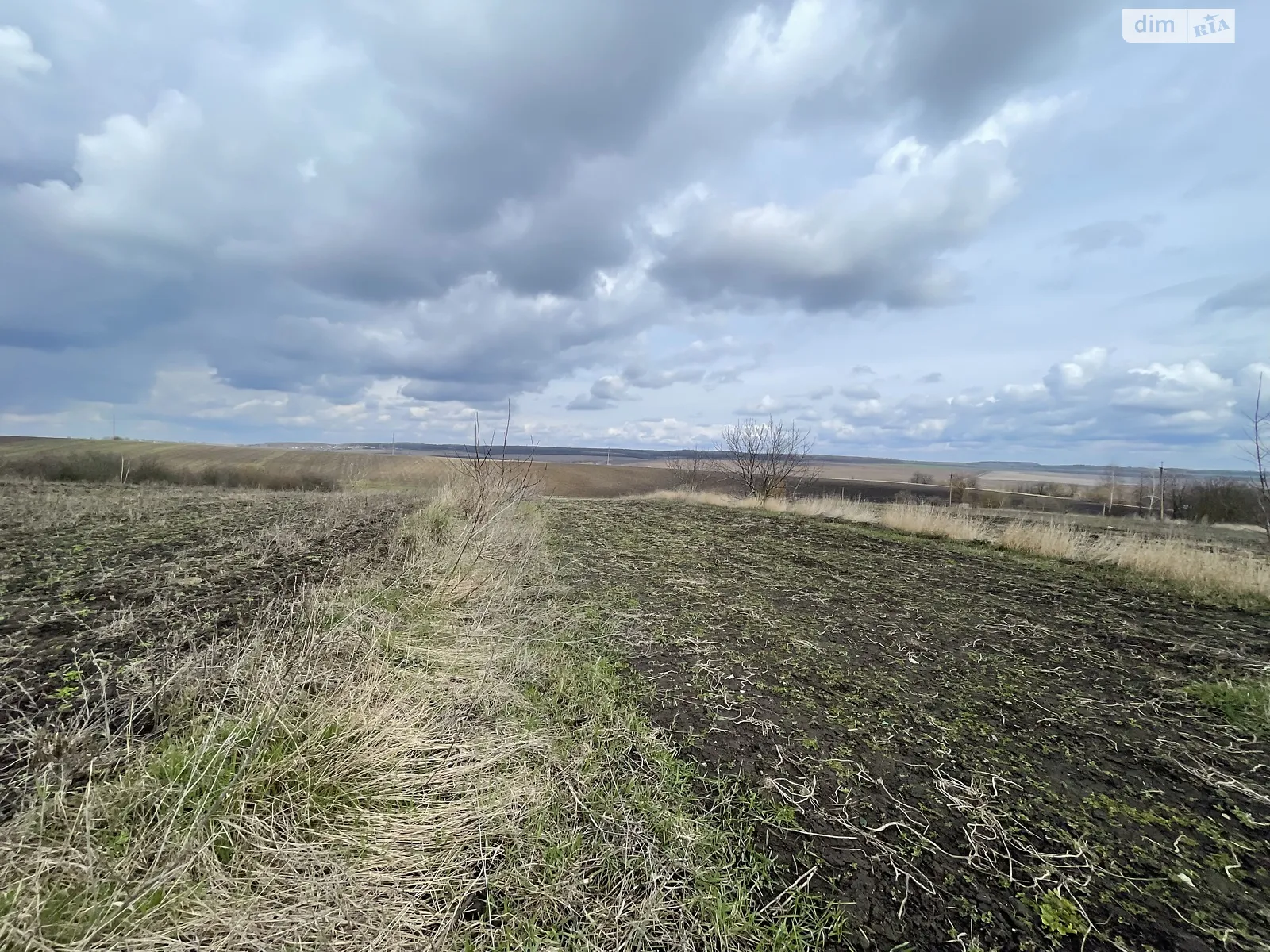 Продается земельный участок 33 соток в Хмельницкой области - фото 3