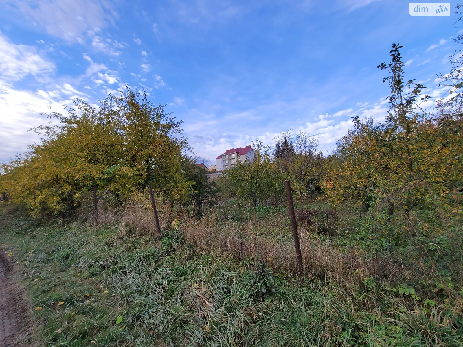Продается земельный участок 28 соток в Тернопольской области - фото 3