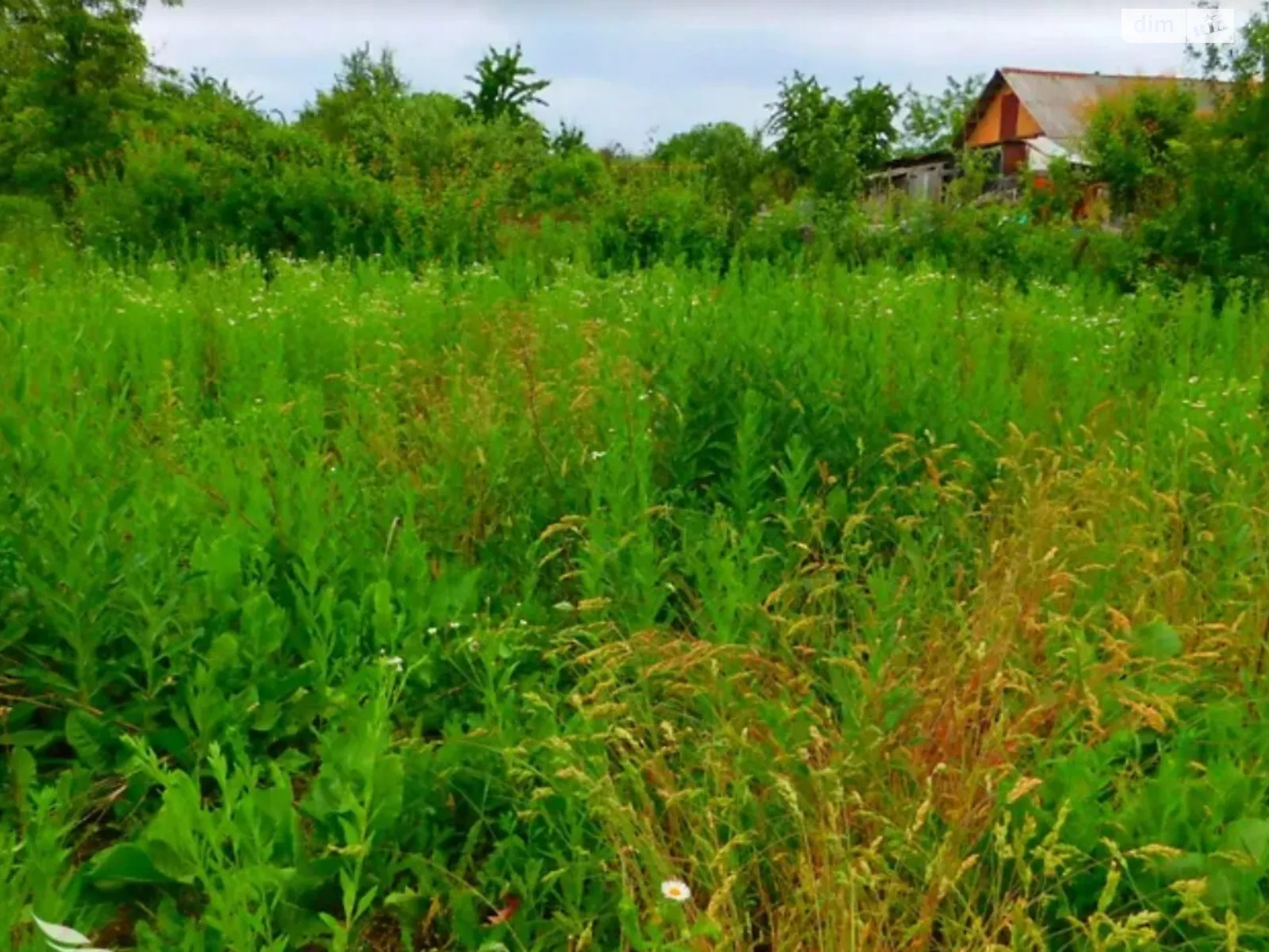 Продается земельный участок 10 соток в Винницкой области, цена: 30000 $