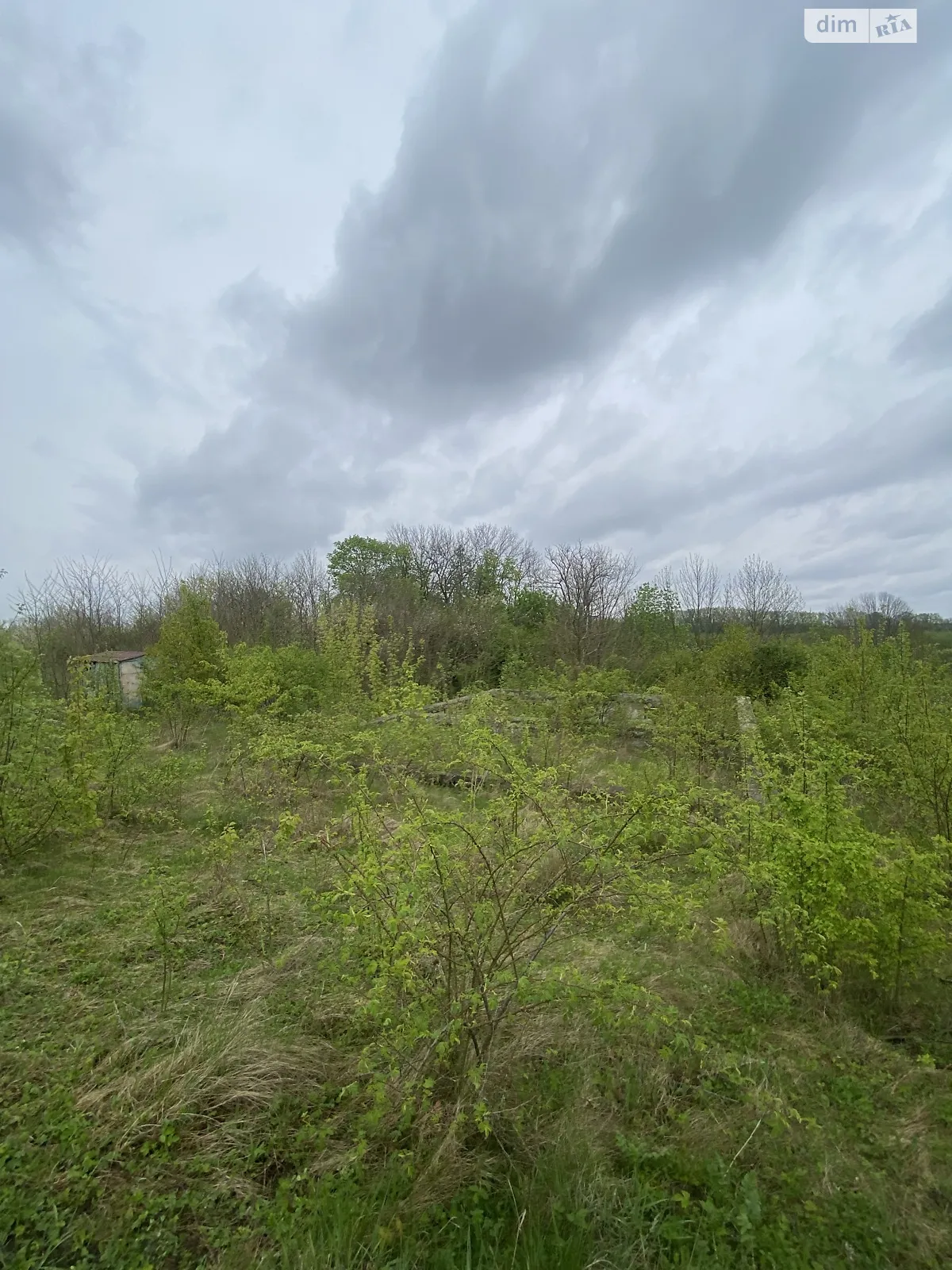 Продается земельный участок 25 соток в Хмельницкой области - фото 2