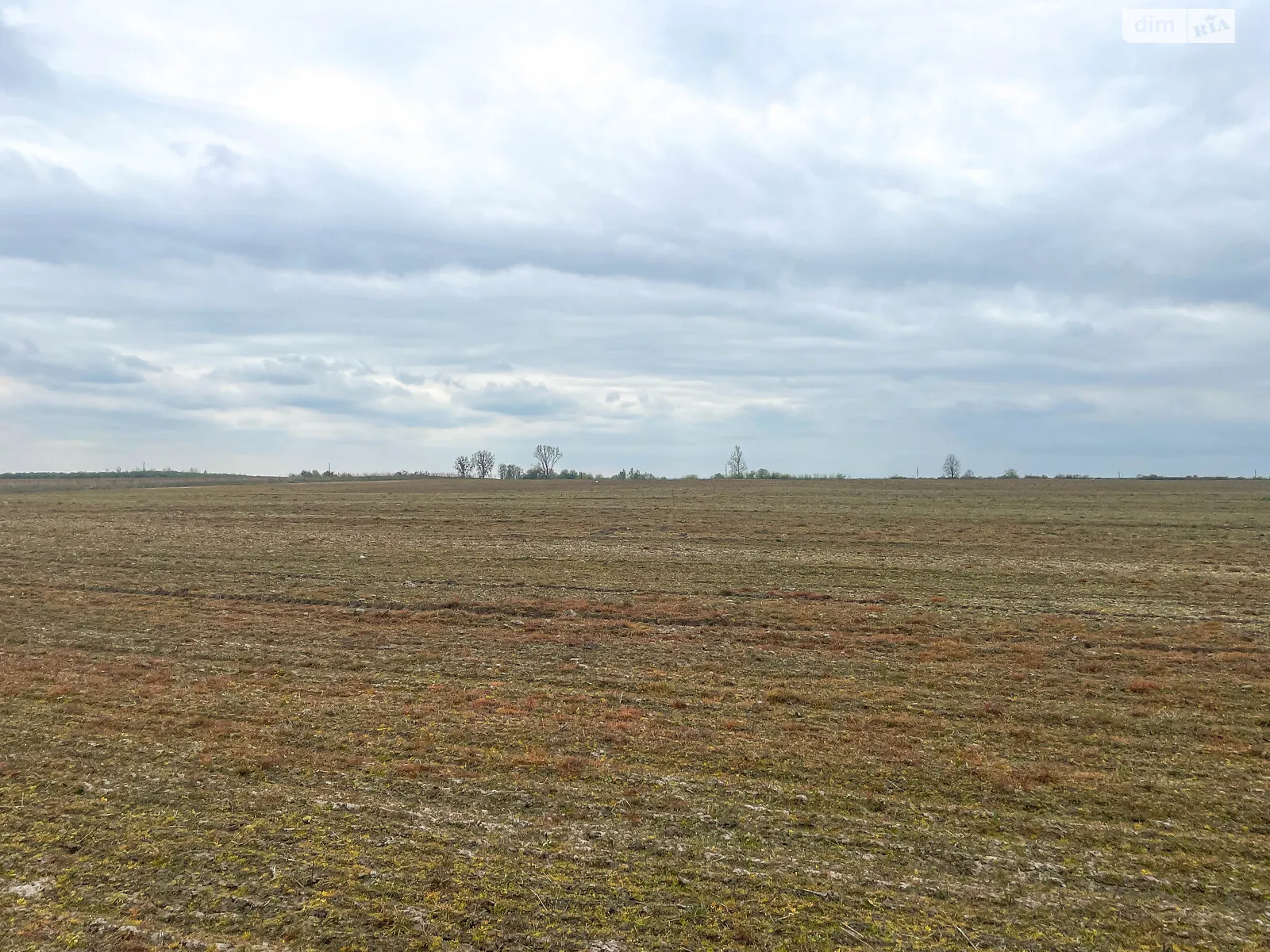 Продается земельный участок 95.1 соток в Львовской области - фото 3