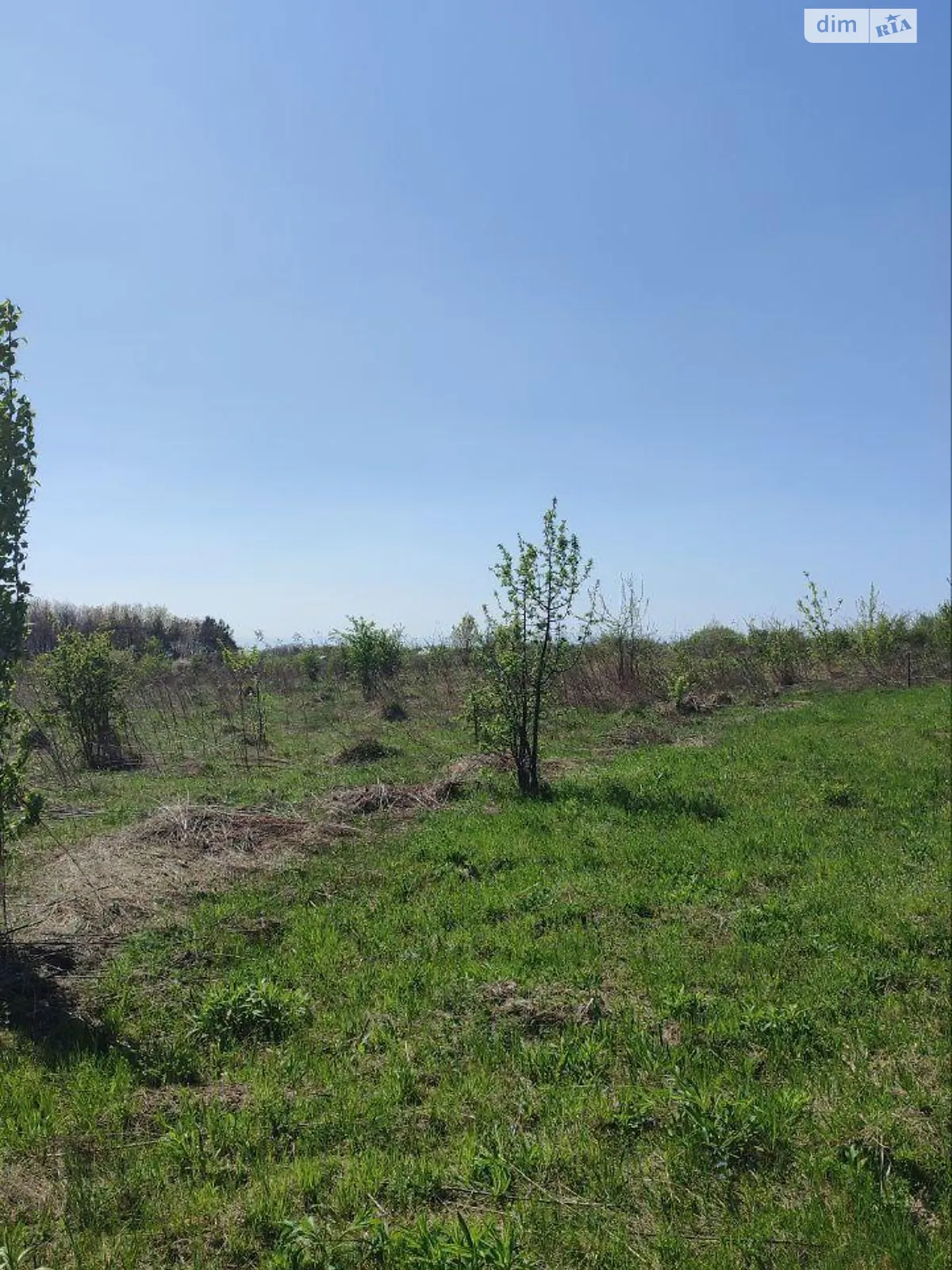 Продається земельна ділянка 12 соток у Івано-Франківській області - фото 2