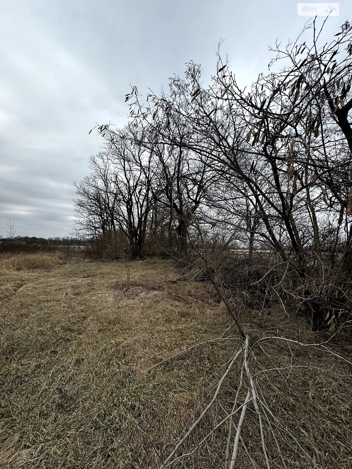 Продается земельный участок 20 соток в Днепропетровской области - фото 2