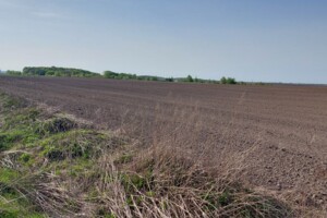 Земельные участки в Дубно без посредников