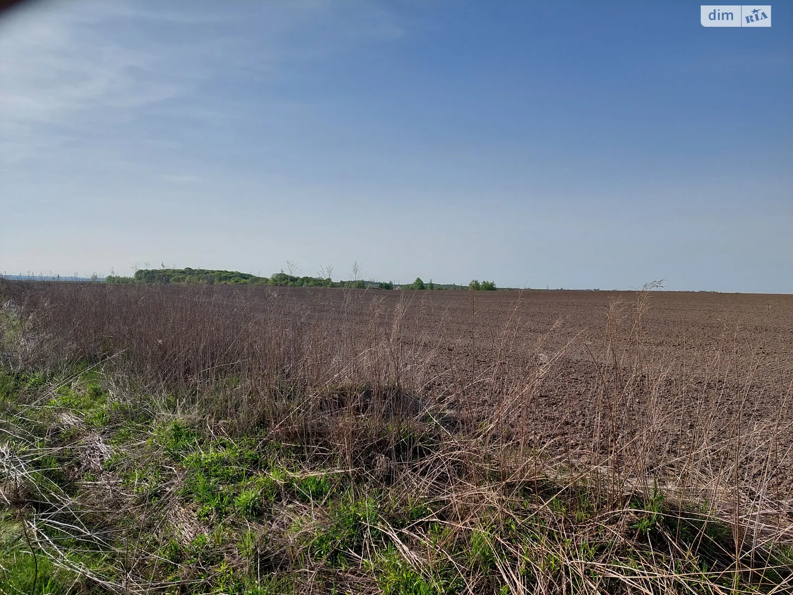 Продается земельный участок 250 соток в Ровенской области - фото 2