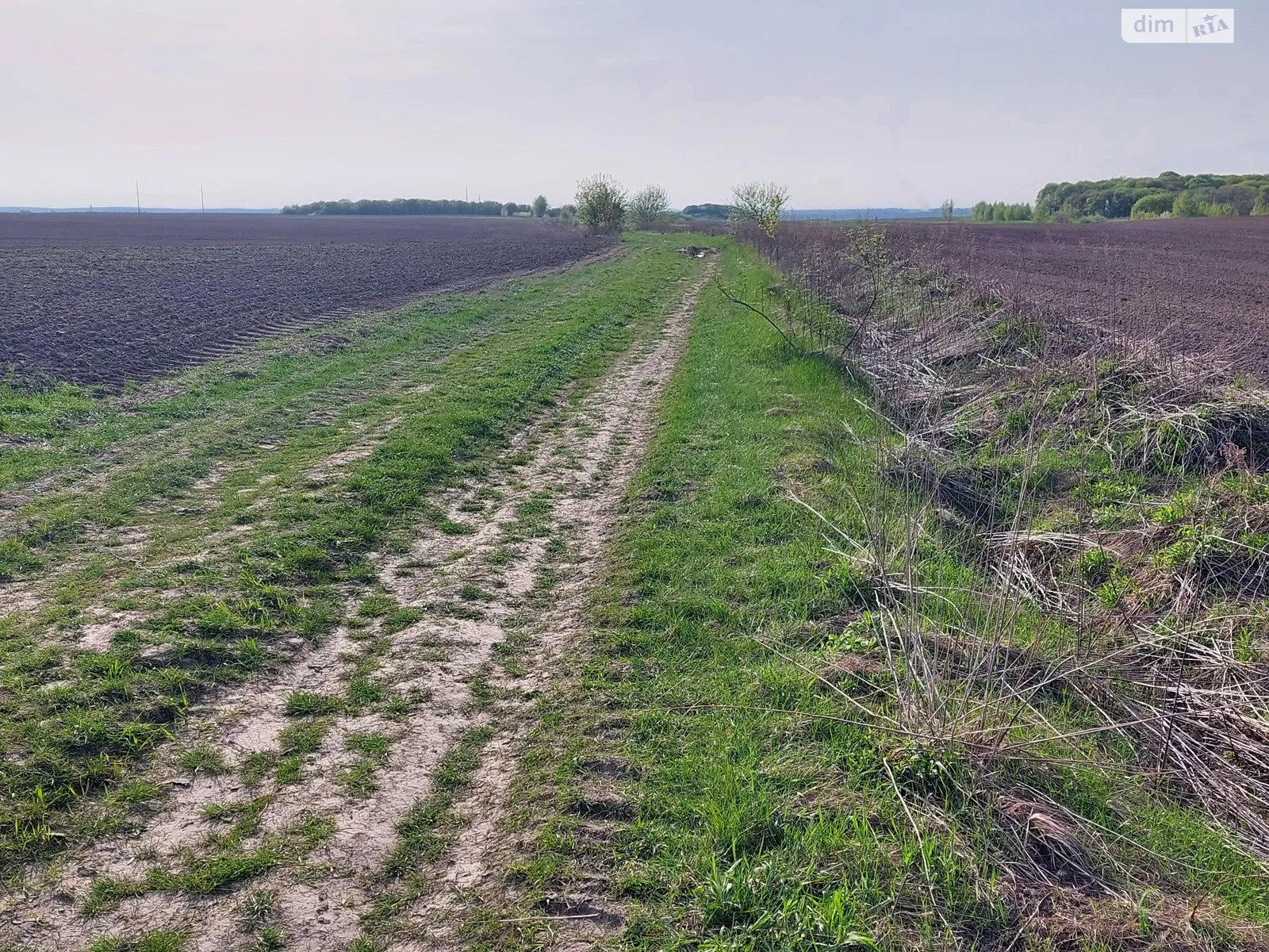 Продается земельный участок 250 соток в Ровенской области - фото 3