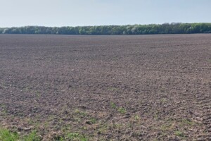 Земельные участки в Дубно без посредников