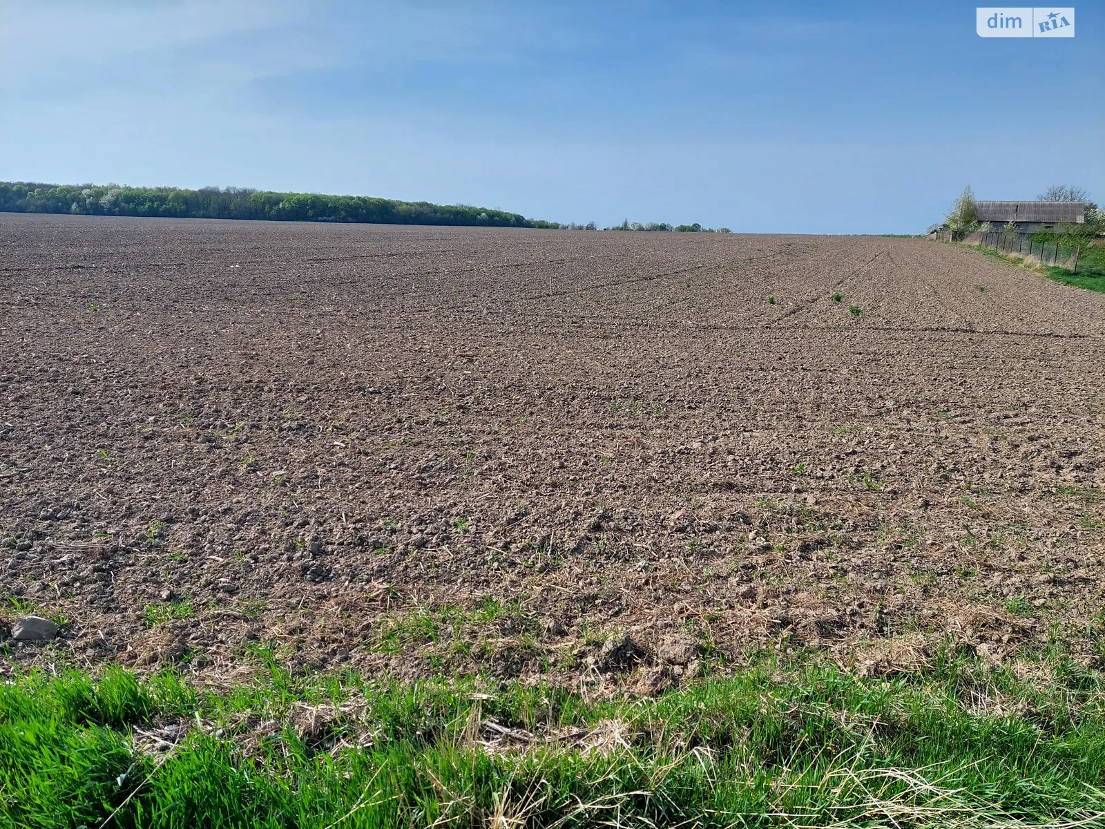 Продается земельный участок 210 соток в Ровенской области - фото 2