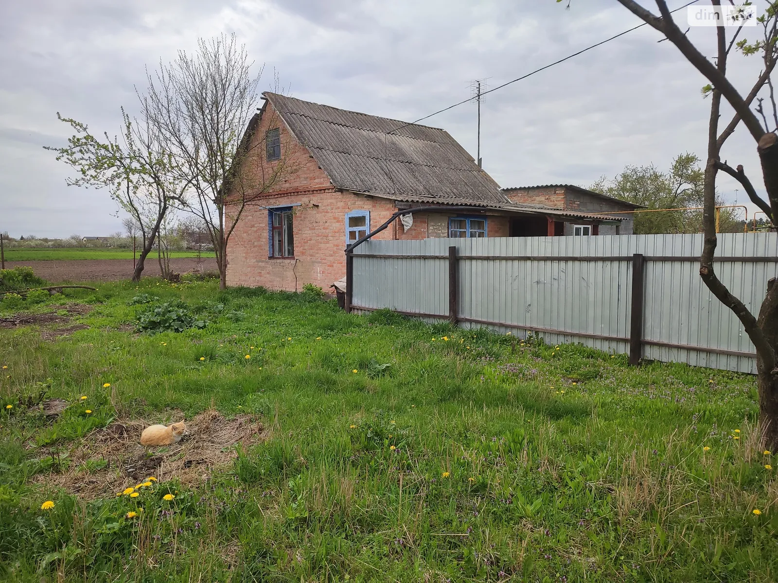 Продается одноэтажный дом 45.5 кв. м с мебелью, цена: 20500 $ - фото 1