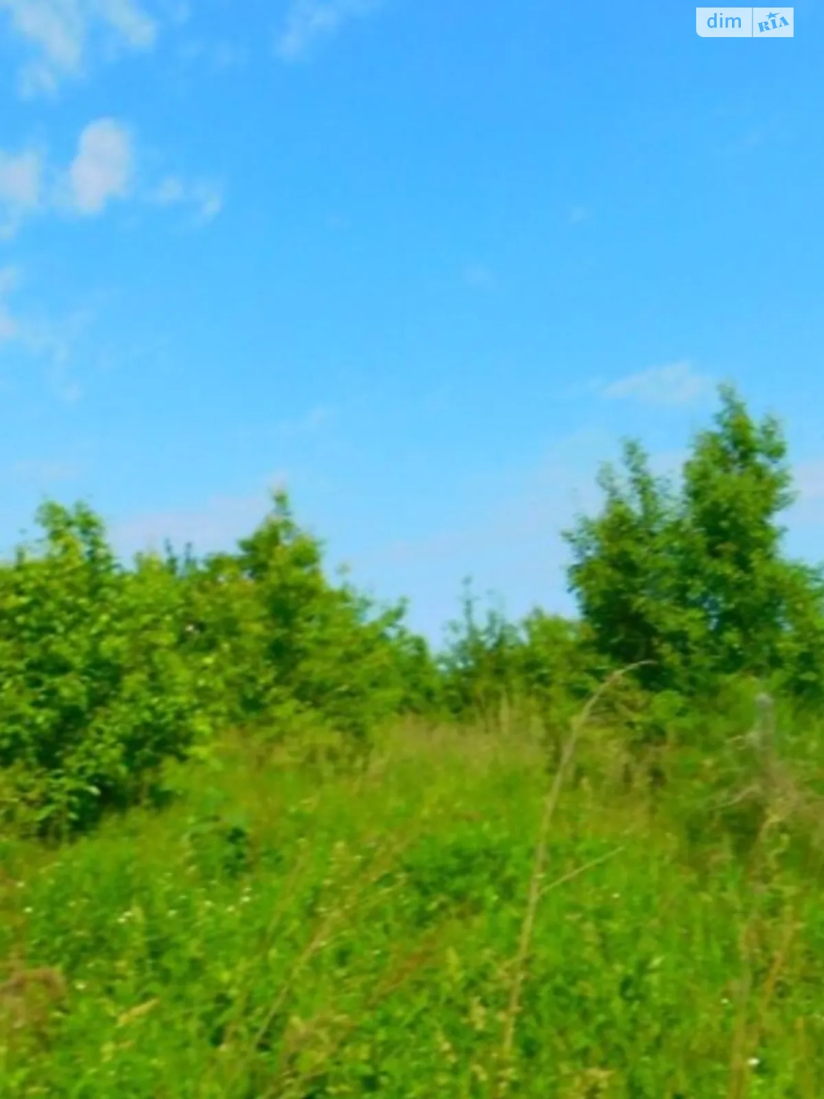 Продається земельна ділянка 50 соток у Вінницькій області - фото 4