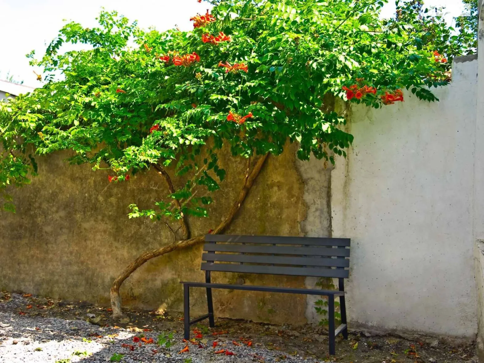 ул. Долгая Киевский,Одесса   - фото 3