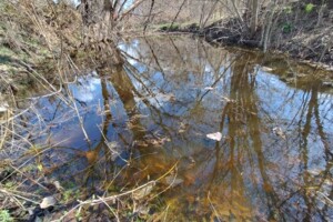 Земельные участки в Городище без посредников